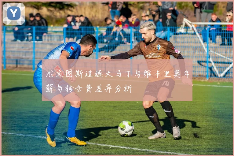 尤文图斯追逐大马丁与维卡里奥年薪与转会费差异分析