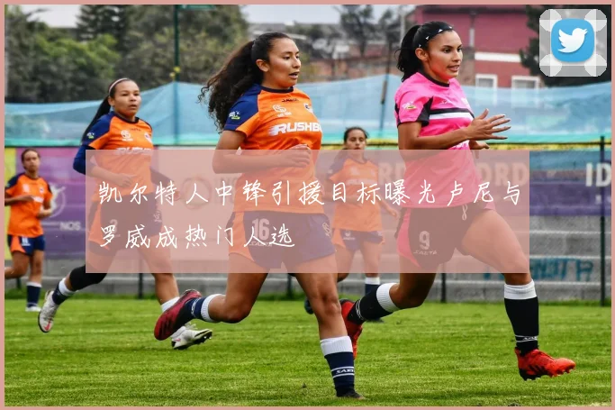 凯尔特人中锋引援目标曝光卢尼与罗威成热门人选
