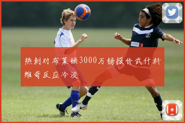 热刺对布莱顿3000万镑报价武什科维奇反应冷淡