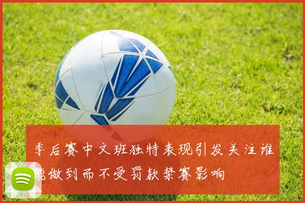 季后赛中文班独特表现引发关注谁能做到而不受罚款禁赛影响