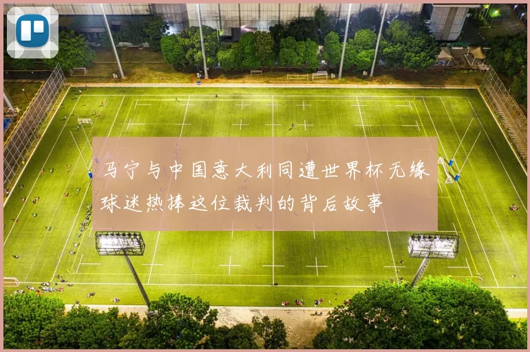 马宁与中国意大利同遭世界杯无缘球迷热捧这位裁判的背后故事