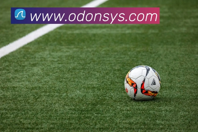 KAIYUNSPORTS官网平台生态图